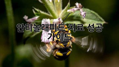 안티놀래피드 치료 성공 가이드